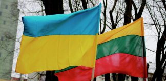 Литва предложила Киеву площадку для подготовки конференции по реформам на Украине